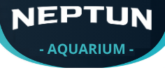 www.neptunaquarium.com